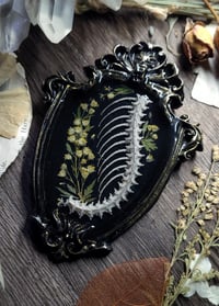 Image 4 of Spine and Floral Wall Frame