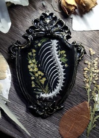 Image 1 of Spine and Floral Wall Frame