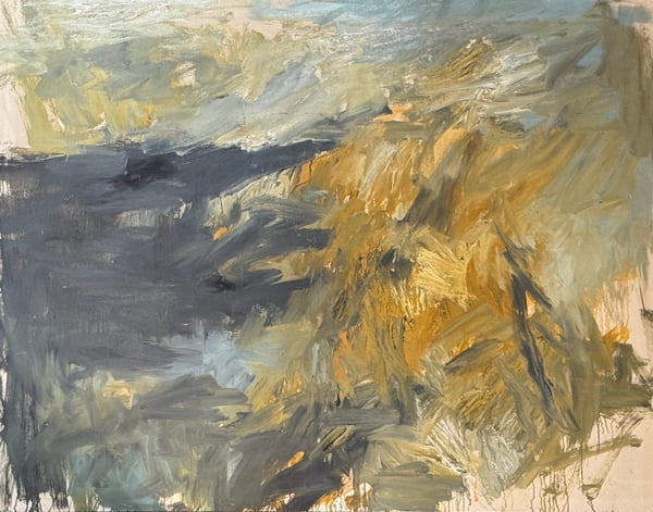 Image of Victor Hugo Zayas | COASTAL SERIES X