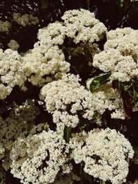 Image 3 of Lille clutch med flæse 001