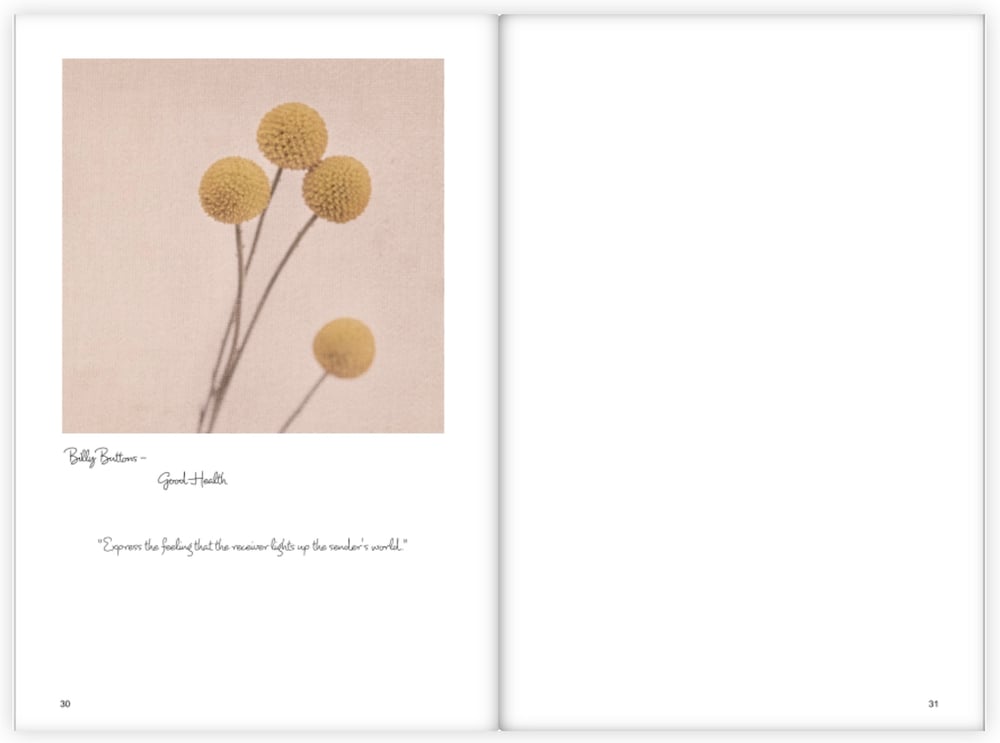 Image of Journal/notebook (Limited Edition)