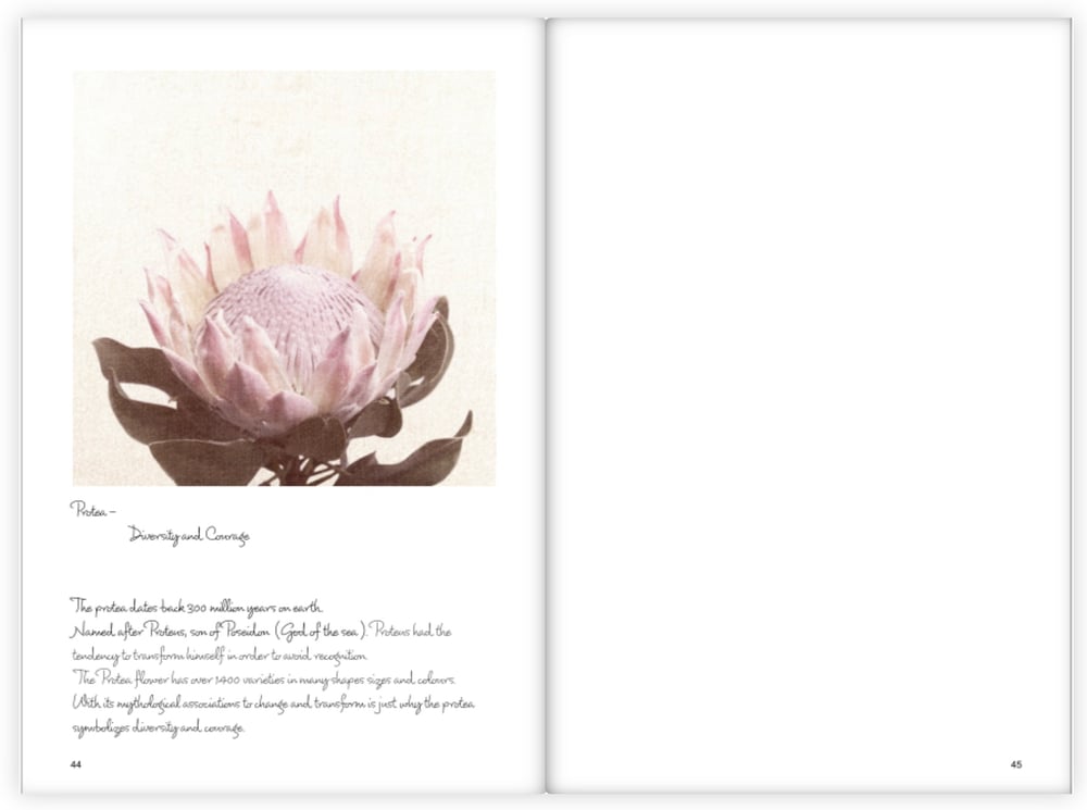 Image of Journal/notebook (Limited Edition)