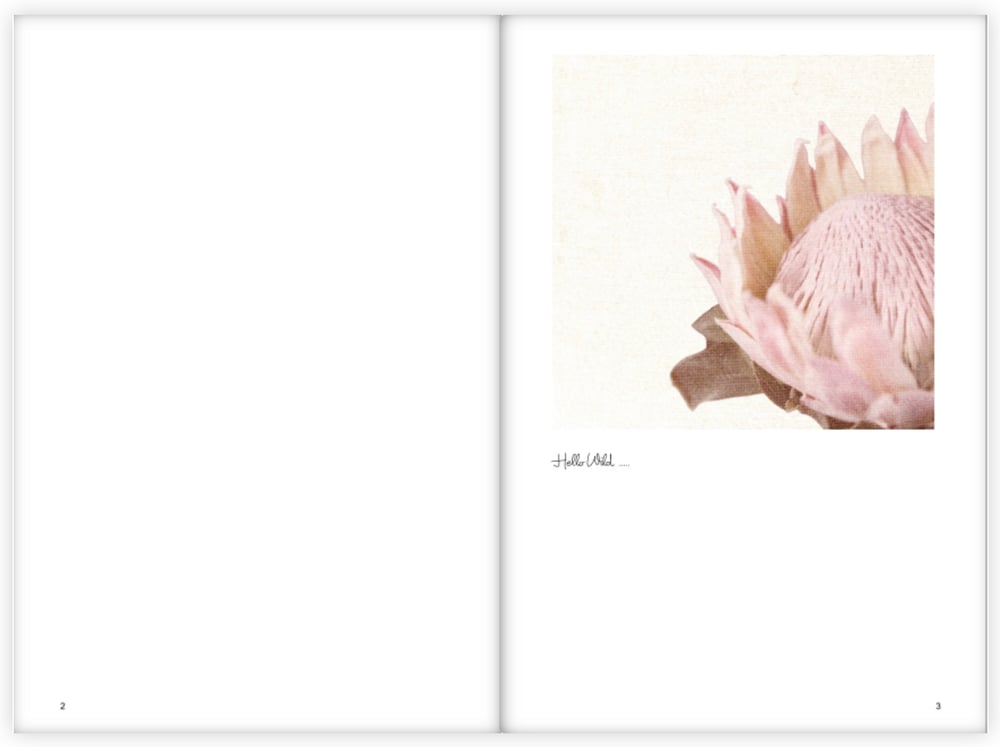 Image of Journal/notebook (Limited Edition)