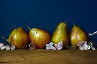 Pears and Flowers 