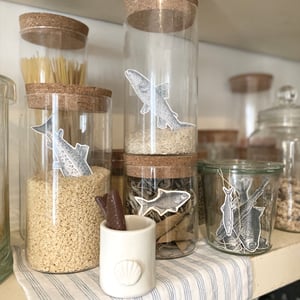 Image of POISSONS D'AVRIL