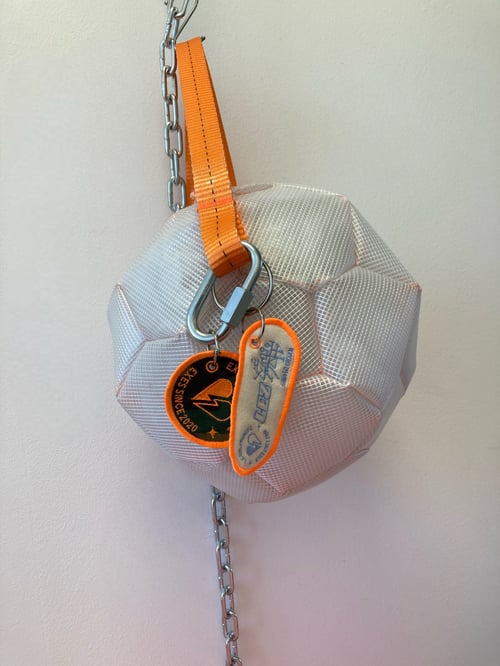 Image of THE MEDICINE BALL