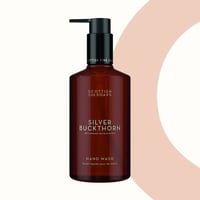 Silver Buckthorn Hand Body Wash