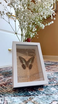 Image 3 of Specimen No. XIII