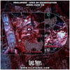 PROLAPSED - APEX OF EXCRUCIATION [CD]