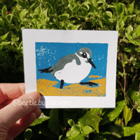 Sanderling Reduction Lino Print