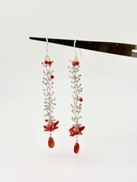 Image 2 of coral vertebrate dangles 