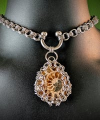 Image 2 of FOSSIL CHOKER