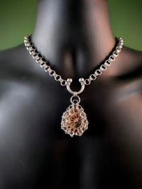 Image 3 of FOSSIL CHOKER