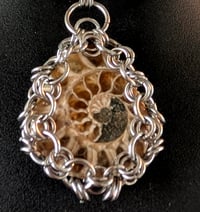 Image 4 of FOSSIL CHOKER