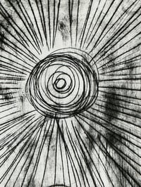 Image 2 of Black Spiral 