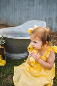 Image 4 of Splash with Ducklings mini 