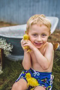 Image 9 of Splash with Ducklings mini 