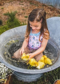 Image 10 of Splash with Ducklings mini 