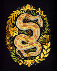 Image 1 of Golden Hour