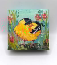 Image 1 of Goldie No. 3 — american goldfinch painting