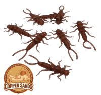 Image 7 of 2" Stonefly (8 Pack)