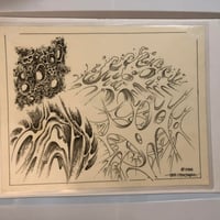 Image 1 of 1988 Bob Montagna production flash sheet laminated 11x14