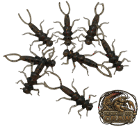 Image 8 of 2" Stonefly (8 Pack)