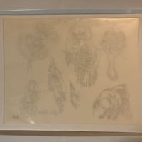 Image 3 of ‘92 Gerald Von Langley flash sheet 11x14