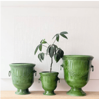 Laurel Green Planter
