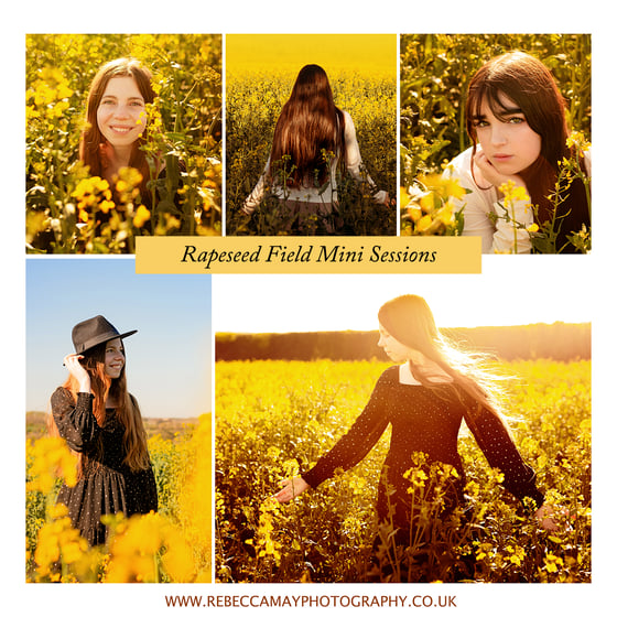 Image of RAPESEED FLOWERS Mini Session