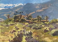 Cholla Field below Indian Head