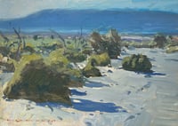 Windstorm with Smoke Trees