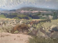 Chaparral along the Ortega Pass