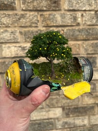 Image 1 of When Life Gives You Lemons 