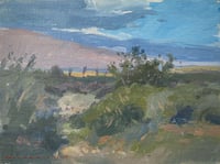 Evening Windstorm Kickin' Up