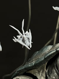 Image 5 of Giant Turtle Warrior Set