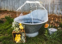 Image 4 of Animal rental