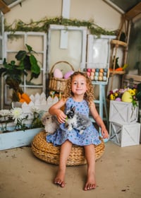 Image 8 of Animal rental