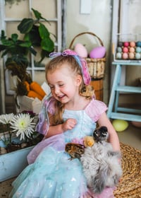 Image 3 of Animal rental