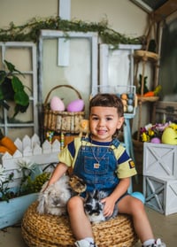 Image 9 of Animal rental