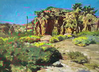 Palmera Washingtonia at the Agua Calientes