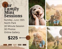 Fur Family Mini Sessions