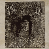 Vile Haint / Tlön - Abound with Malice / Through Nebulous Scars LP