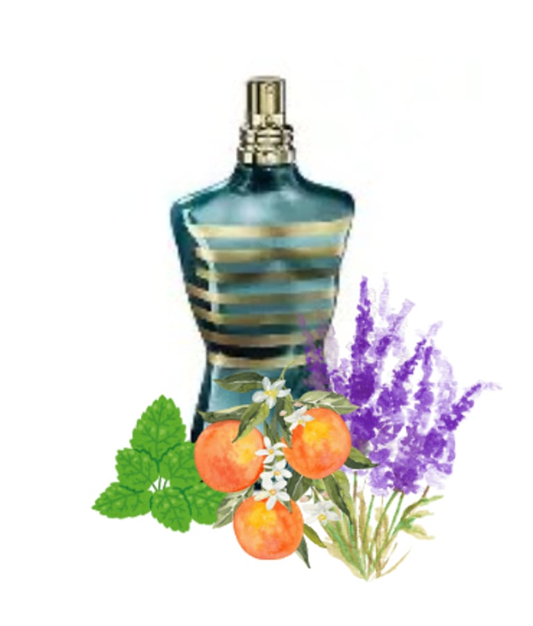 Image of JEAN PAUL GAULTIER  (TYPES) MEN