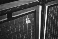 Image 2 of Permanent Vow