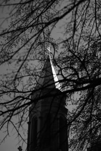 Image 2 of Veiled Ascension