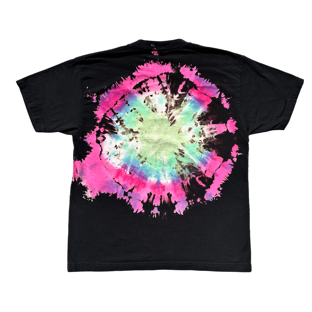 FIBONACCI BOREALIS - Spring Equinox 