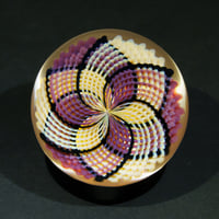 Image 1 of Desert Bloom