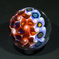 Image 5 of Desert Bloom