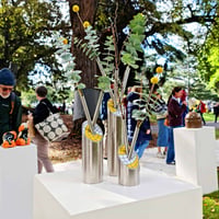 Image 5 of Burst